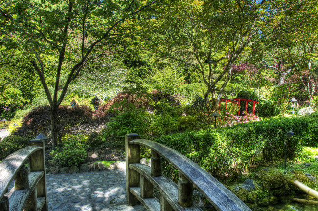 Обои картинки фото butchart, gardens, victoria, canada, природа, парк, растения