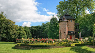 Картинка coloma+rose+garden++бельгия природа парк трава клумбы розы сад бельгия кусты