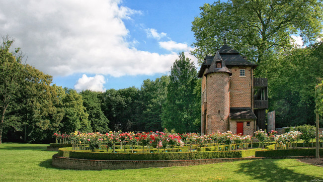 Обои картинки фото coloma rose garden  бельгия, природа, парк, трава, клумбы, розы, сад, бельгия, кусты