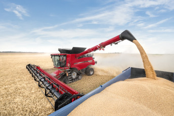 Картинка техника комбайны поле комбайн уборочная