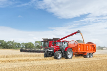 Картинка техника комбайны поле уборочная комбайн