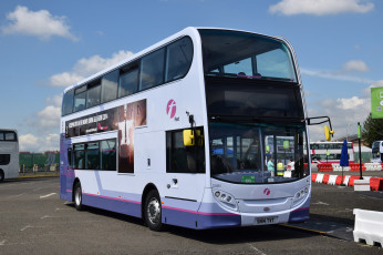 Картинка автомобили автобусы пассажирский транспорт