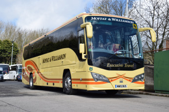 Картинка автомобили автобусы транспорт пассажирский