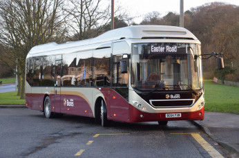 Картинка автомобили автобусы транспорт пассажирский