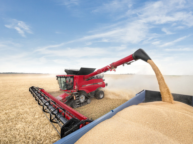 Обои картинки фото техника, комбайны, уборочная, комбайн, поле