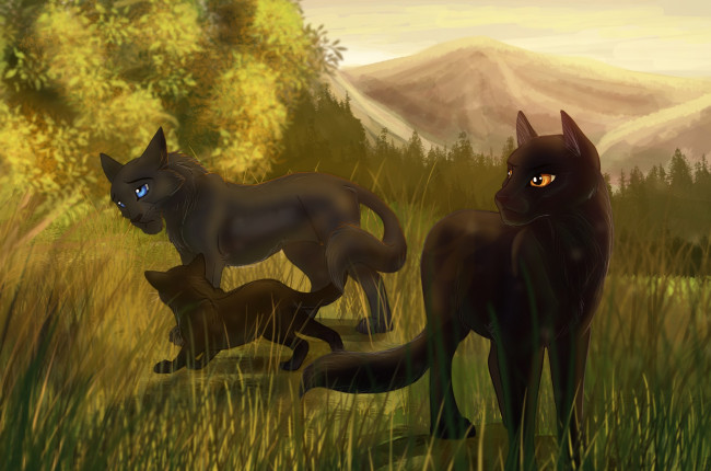 Обои картинки фото рисованное, животные,  коты, поляна, лес, коты