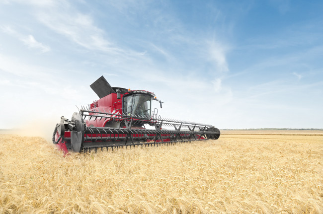 Обои картинки фото техника, комбайны, поле, уборочная, комбайн