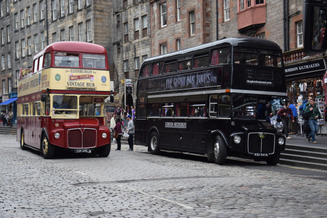 Обои картинки фото автомобили, автобусы, пассажирский, транспорт