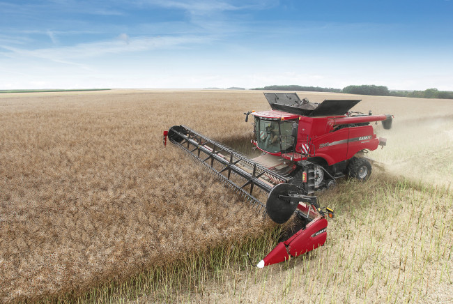 Обои картинки фото техника, комбайны, поле, уборочная, комбайн