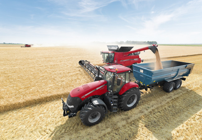 Обои картинки фото техника, комбайны, поле, уборочная, комбайн