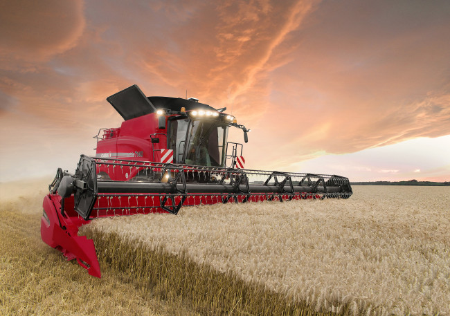 Обои картинки фото техника, комбайны, поле, комбайн, уборочная