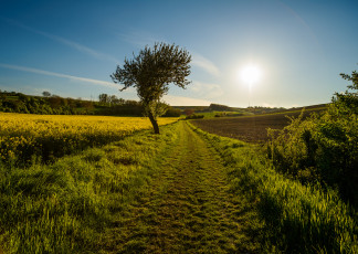 Картинка природа дороги скалы