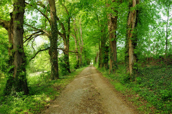 Картинка природа дороги скалы