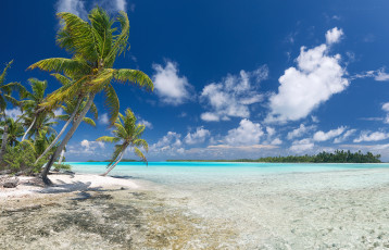 Картинка природа тропики курорт