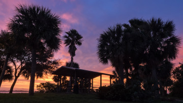 Картинка природа тропики курорт