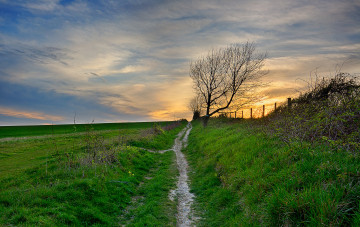 Картинка природа дороги скалы