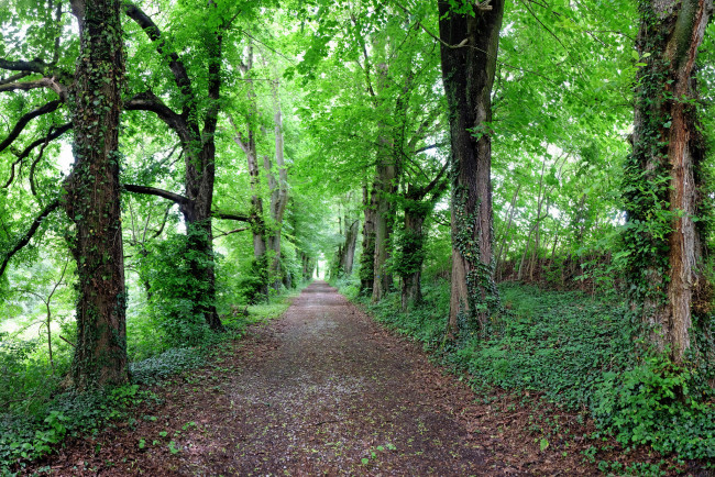 Обои картинки фото природа, дороги, скалы