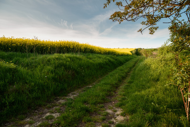 Обои картинки фото природа, дороги, скалы