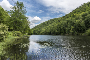 Картинка природа реки озера лес река