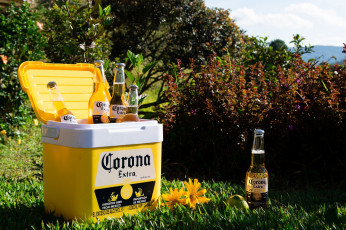 Картинка бренды бренды+напитков+ разное алкоголь