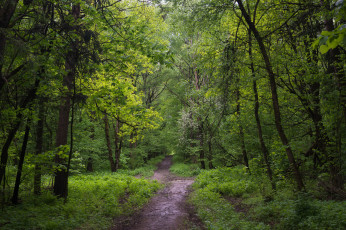 Картинка природа дороги тракт