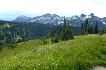 Картинка природа горы простор