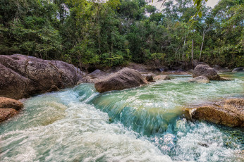 Картинка природа реки озера лес река