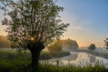 Картинка природа реки озера лес река