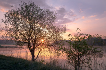 Картинка природа реки озера лес река