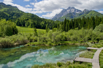 Картинка природа реки озера лес река