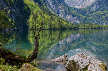 Картинка природа реки озера лес река