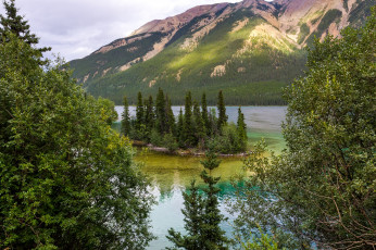 Картинка природа реки озера лес река