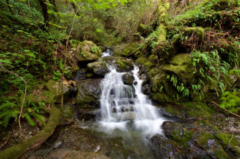 Картинка природа водопады лес водопад река
