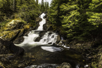Картинка природа водопады река лес водопад