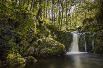 Картинка природа водопады водопад река лес