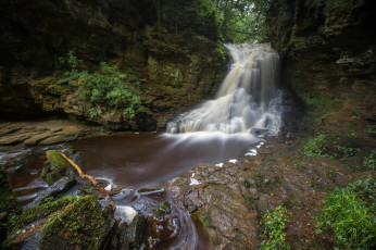 Картинка природа водопады водопад река лес