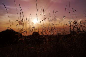 Картинка природа восходы закаты рассвет