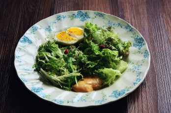 Картинка еда салаты +закуски закуска