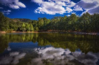 Картинка природа реки озера лес река