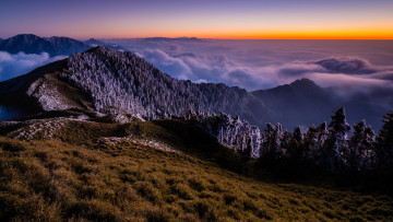 Картинка природа горы закат пейзаж трава небо вид вершины деревья туман снег лес высота осень горизонт холмы даль дымка вечер ели освещение зима иней спуск холод склон красота ёлки