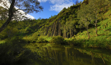 Картинка природа реки озера лес река