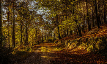 Картинка природа дороги тракт