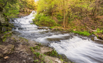 Картинка природа водопады водопад река лес