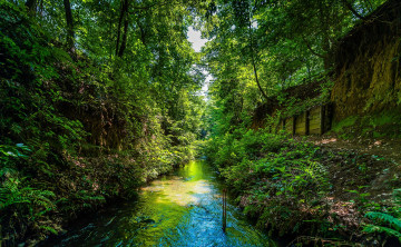 Картинка природа реки озера лес река