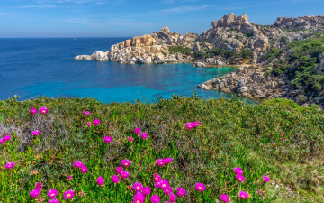 Картинка природа побережье берег море