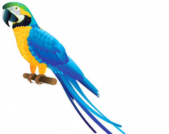 Обои картинки фото рисованное, животные,  птицы,  попугаи, попугай, фон