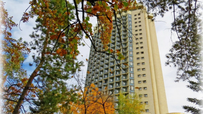 Обои картинки фото города, - здания,  дома, дом, дерево