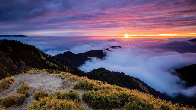 Обои картинки фото природа, облака, закат, пейзаж, трава, небо, вид, вершины, фиолетовый, сиреневый, туман, лучи, низина, лес, высота, горизонт, солнце, холмы, даль, вечер, ели, сказочно, освещение, горы, склон, краски, обрыв, красота