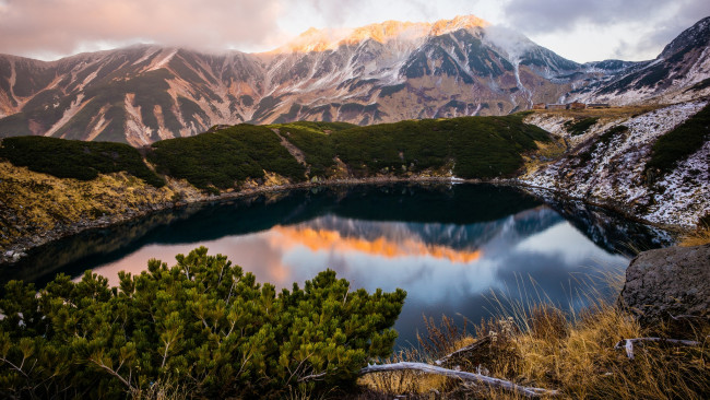 Обои картинки фото природа, реки, озера, пейзаж, горное, озеро, трава, водоем, хвоя, снежные, вершины, сосны, облака, ветки, холмы, берег, зеркальное, горы, отражение