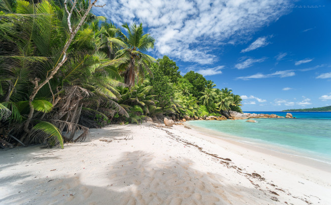 Обои картинки фото природа, тропики, курорт